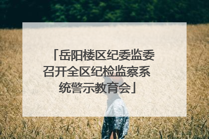 岳阳楼区纪委监委召开全区纪检监察系统警示教育会