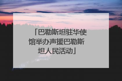 巴勒斯坦驻华使馆举办声援巴勒斯坦人民活动