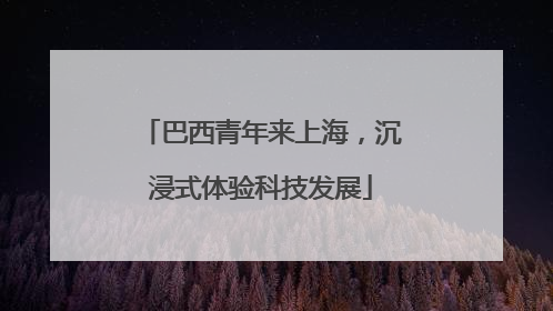 巴西青年来上海，沉浸式体验科技发展