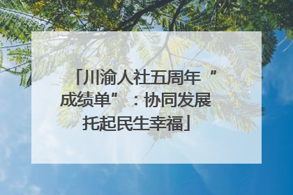 川渝人社五周年“成绩单”：协同发展托起民生幸福