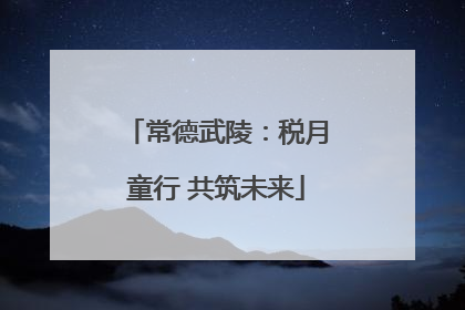 常德武陵：税月童行 共筑未来