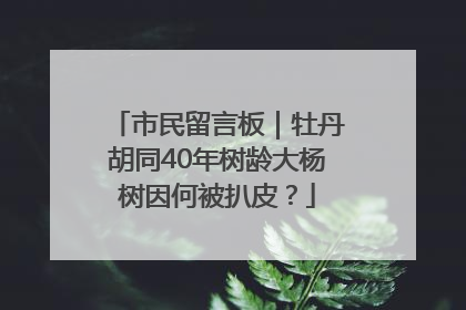 市民留言板｜牡丹胡同40年树龄大杨树因何被扒皮？