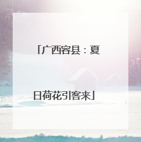 广西容县：夏日荷花引客来