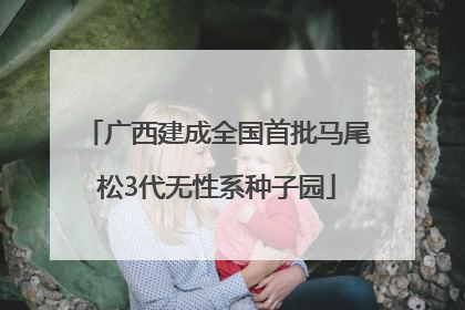 广西建成全国首批马尾松3代无性系种子园