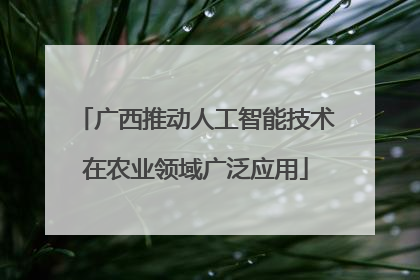 广西推动人工智能技术在农业领域广泛应用