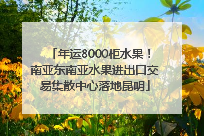年运8000柜水果！南亚东南亚水果进出口交易集散中心落地昆明