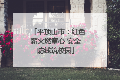 平顶山市：红色薪火燃童心 安全防线筑校园