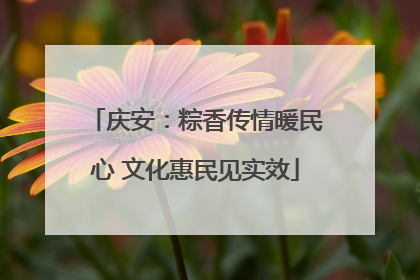 庆安：粽香传情暖民心 文化惠民见实效