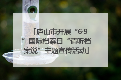 庐山市开展“6·9”国际档案日“请听档案说”主题宣传活动