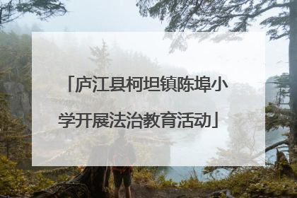 庐江县柯坦镇陈埠小学开展法治教育活动