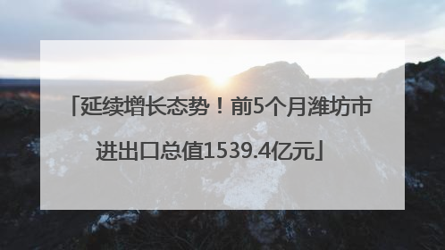 延续增长态势！前5个月潍坊市进出口总值1539.4亿元
