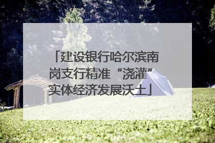 建设银行哈尔滨南岗支行精准“浇灌”实体经济发展沃土
