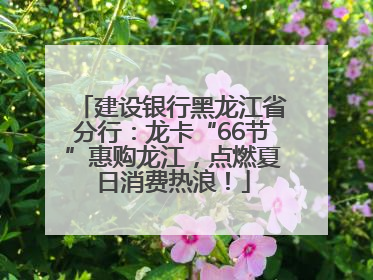 建设银行黑龙江省分行：龙卡“66节”惠购龙江，点燃夏日消费热浪！