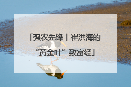 强农先锋丨崔洪海的“黄金叶”致富经