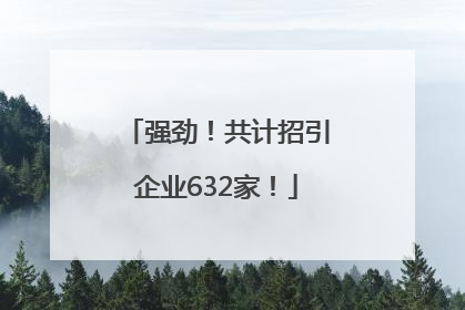 强劲！共计招引企业632家！