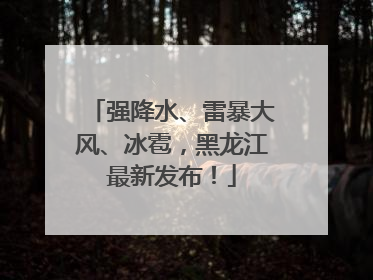 强降水、雷暴大风、冰雹，黑龙江最新发布！