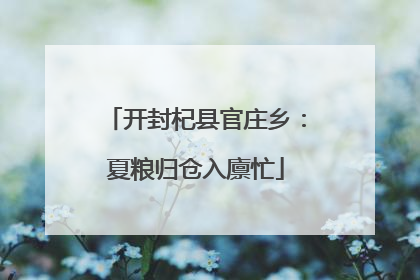 开封杞县官庄乡：夏粮归仓入廪忙