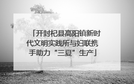 开封杞县高阳镇新时代文明实践所与妇联携手助力“三夏”生产