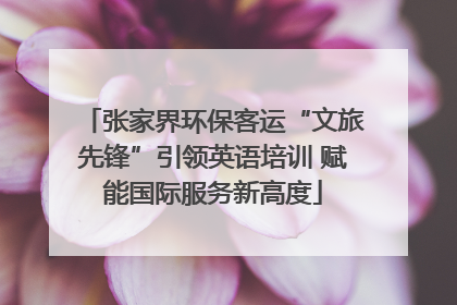 张家界环保客运“文旅先锋”引领英语培训 赋能国际服务新高度