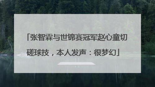张智霖与世锦赛冠军赵心童切磋球技，本人发声：很梦幻