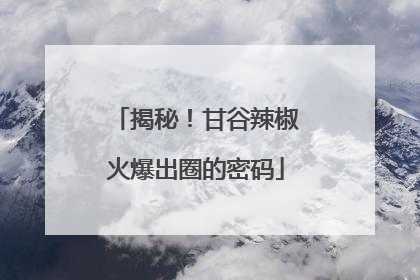 揭秘！甘谷辣椒火爆出圈的密码