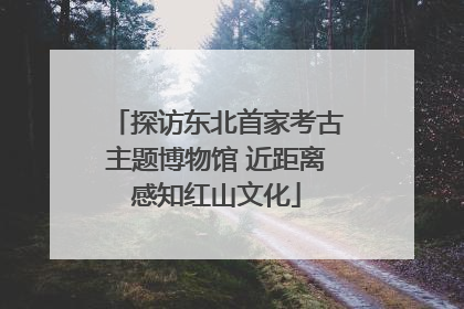 探访东北首家考古主题博物馆 近距离感知红山文化