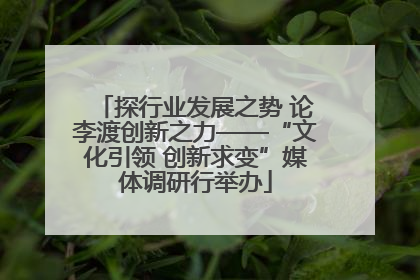 探行业发展之势 论李渡创新之力——“文化引领 创新求变”媒体调研行举办