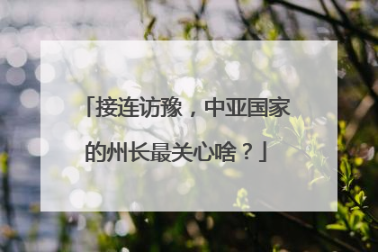接连访豫，中亚国家的州长最关心啥？
