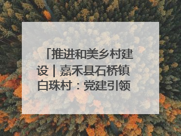 推进和美乡村建设｜嘉禾县石桥镇白珠村：党建引领破“空”局 乡贤聚力绘就新图景
