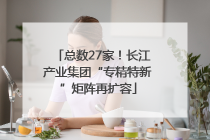 总数27家！长江产业集团“专精特新”矩阵再扩容