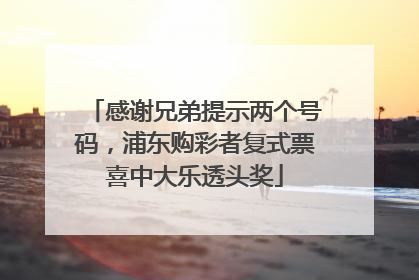 感谢兄弟提示两个号码，浦东购彩者复式票喜中大乐透头奖