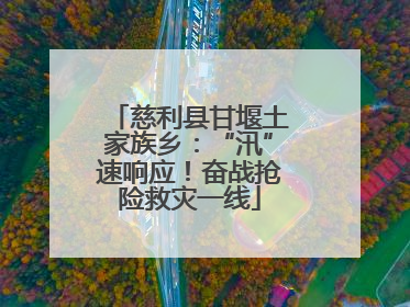 慈利县甘堰土家族乡：“汛”速响应！奋战抢险救灾一线