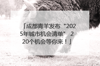 成都青羊发布“2025年城市机会清单” 220个机会等你来！