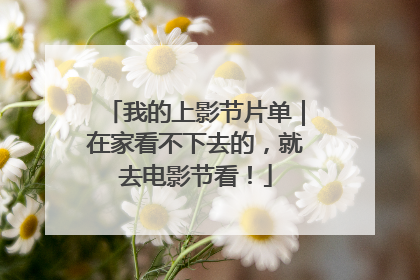 我的上影节片单｜在家看不下去的，就去电影节看！