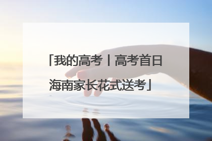 我的高考丨高考首日 海南家长花式送考