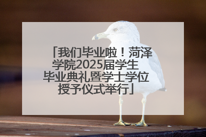 我们毕业啦！菏泽学院2025届学生毕业典礼暨学士学位授予仪式举行