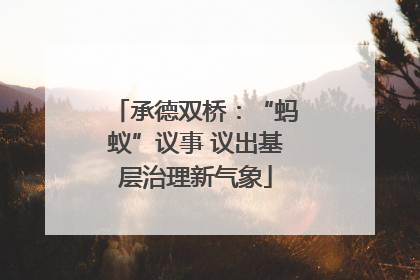 承德双桥：“蚂蚁”议事 议出基层治理新气象
