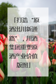 打造“原酒出川新通路”，川酒集团重塑原酒产业价值版图