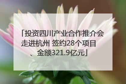 投资四川产业合作推介会走进杭州 签约28个项目、金额321.9亿元
