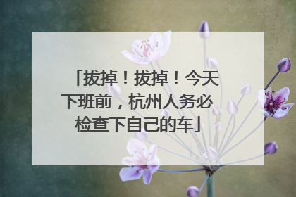 拔掉！拔掉！今天下班前，杭州人务必检查下自己的车