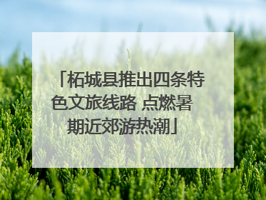柘城县推出四条特色文旅线路 点燃暑期近郊游热潮
