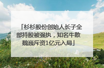 杉杉股份创始人长子全部持股被强执，知名牛散魏巍斥资1亿元入局