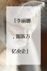 李丽娜，履新万亿央企