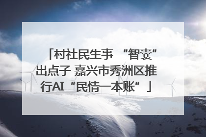村社民生事 “智囊”出点子 嘉兴市秀洲区推行AI“民情一本账”