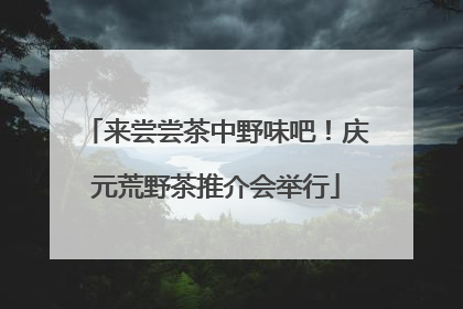 来尝尝茶中野味吧！庆元荒野茶推介会举行