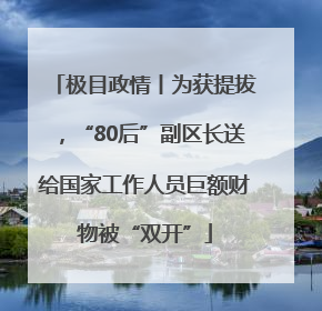极目政情丨为获提拔，“80后”副区长送给国家工作人员巨额财物被“双开”
