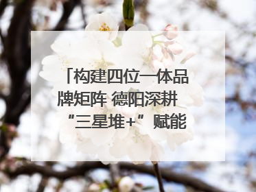 构建四位一体品牌矩阵 德阳深耕“三星堆+”赋能国际旅游城市建设｜文旅局长说
