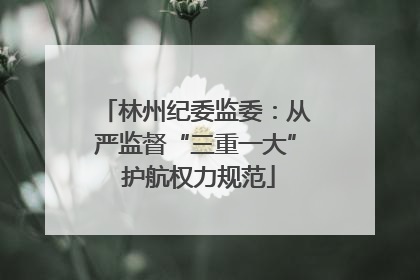 林州纪委监委：从严监督“三重一大” 护航权力规范