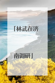 林武在济南调研