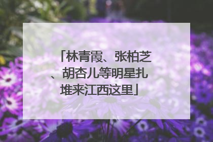 林青霞、张柏芝、胡杏儿等明星扎堆来江西这里
